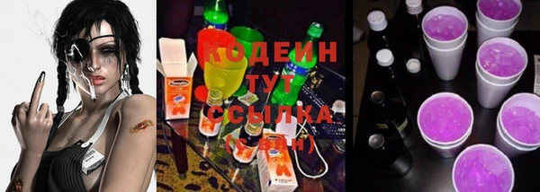 СК Гусь-Хрустальный