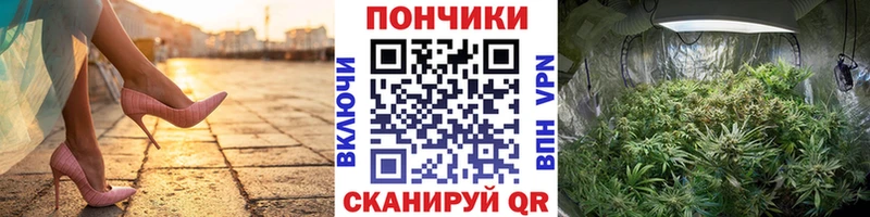 Канабис сатива  где купить   Бердск 